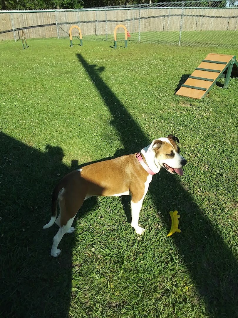 Waveland Bark Park