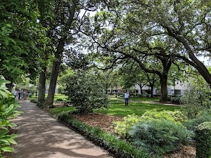 Telfair Academy - photo 44