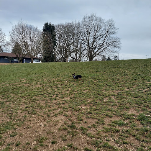 Fernhill Park Dog Off-leash Area