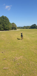 Kowhai Park