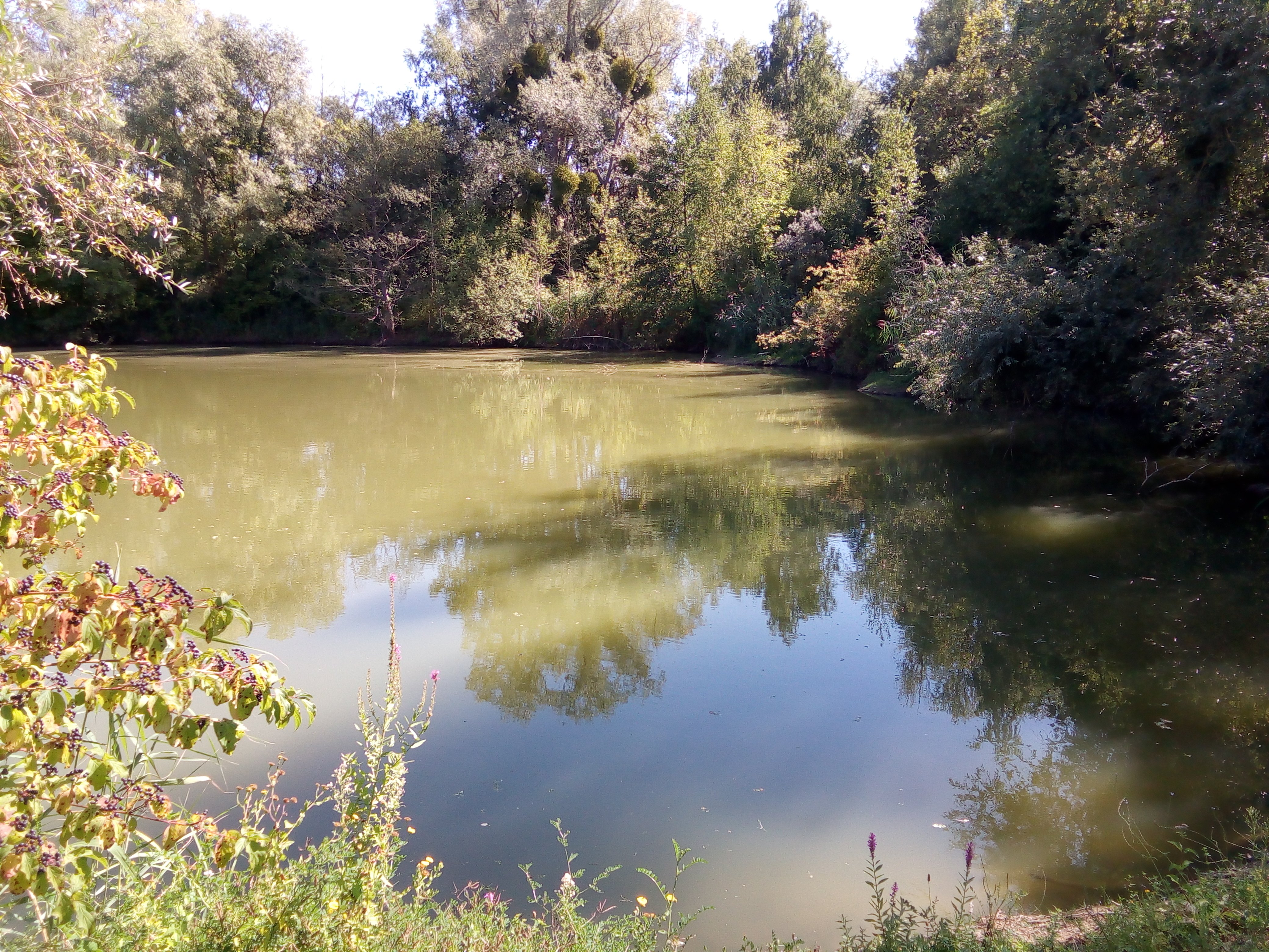 Photo n° 13 de l'avis de Angy.u fait le 30/08/2019 à 15:26