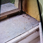 Photo n°3 de l'avis de Diana.i fait le 11/07/2023 à 18:54 sur le  Villa am Wendsee à Brandenburg