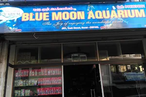 Blue Moon Aquarium image