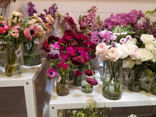 Florist «Native Poppy», reviews and photos, 2335 University Ave, San Diego, CA 92104, USA