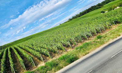Champagne ORBAN DANTENY à Leuvrigny