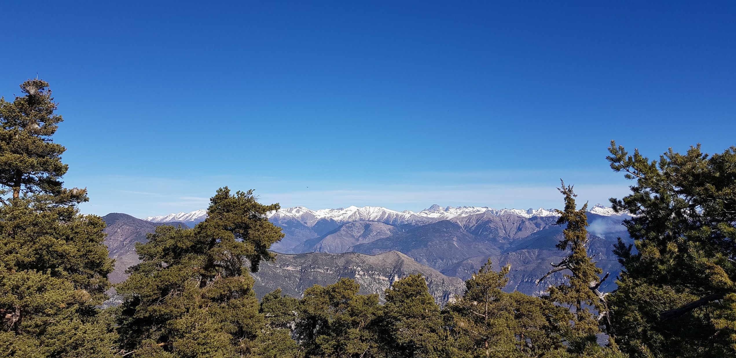 Photo n° 1 de l'avis de John.o fait le 29/02/2020 à 21:27