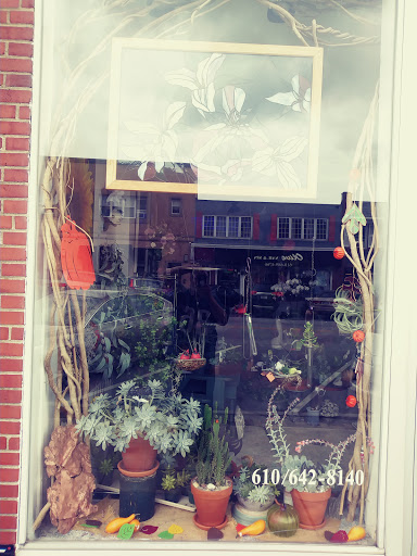 Florist «Trillium», reviews and photos, 41 Rittenhouse Pl, Ardmore, PA 19003, USA