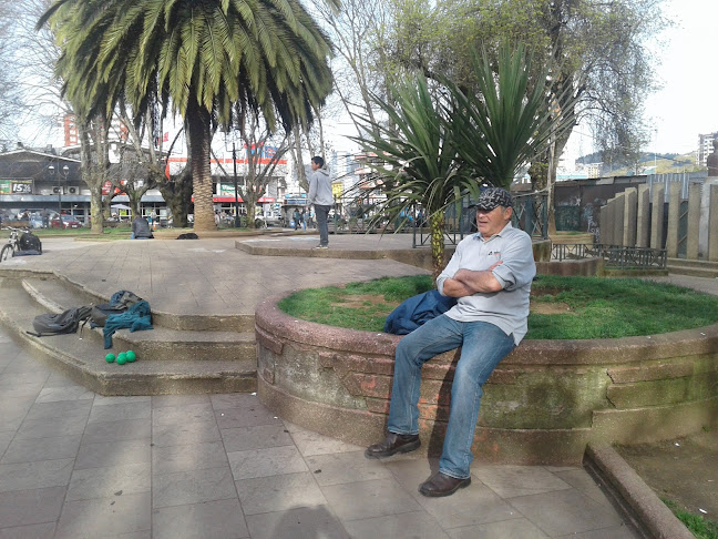 Opiniones de Plaza Dagoberto Godoy en Temuco - Hospital