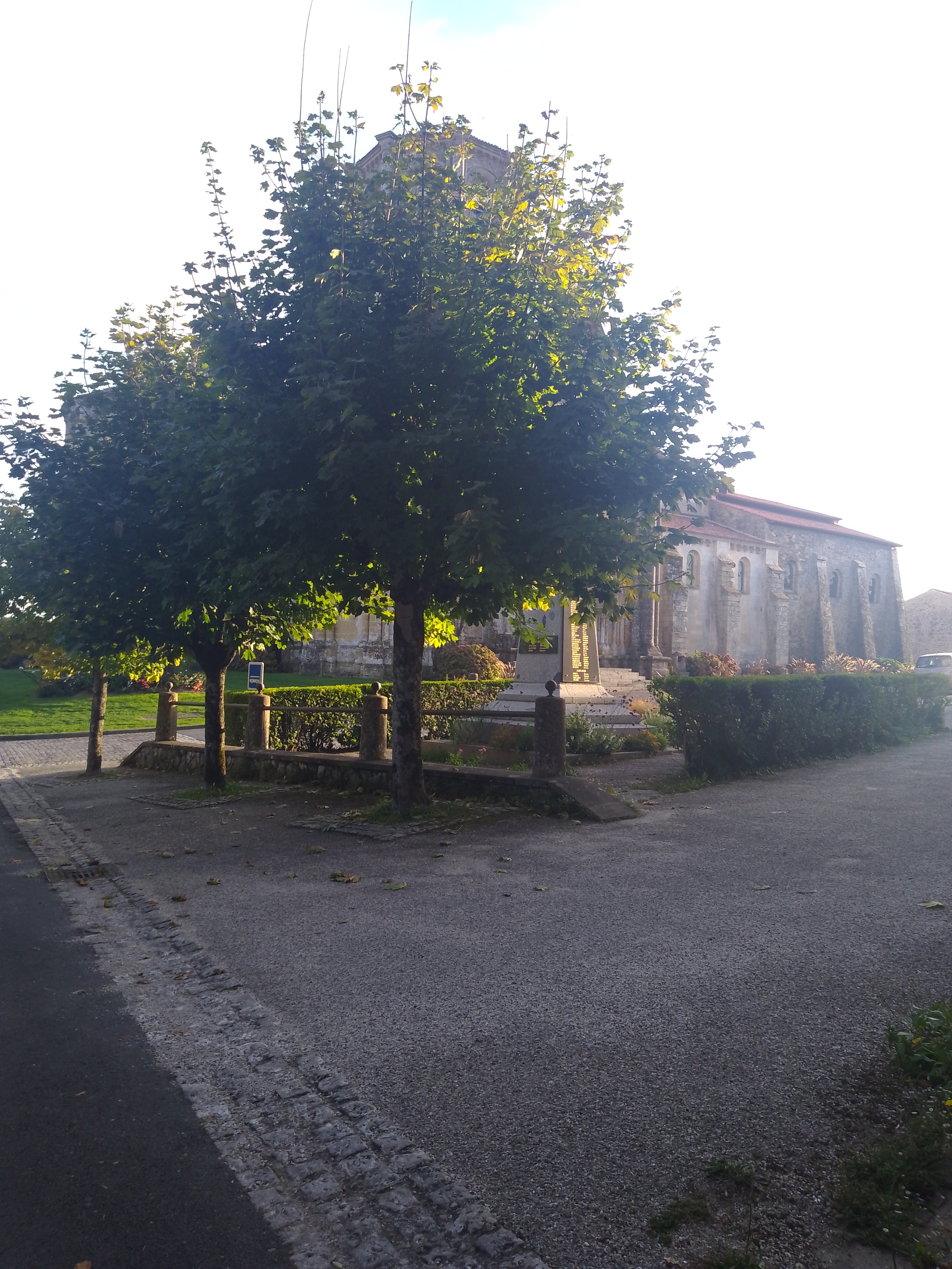Photo n° 6 de l'avis de SANTOS.E fait le 12/10/2023 à 02:42