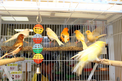 Pet Supply Store «El Granero Feed & Pet Supplies», reviews and photos, 2228 Church Ln, San Pablo, CA 94806, USA