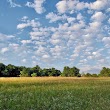 Sander Farm Preserved Natural Area