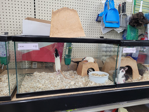 Pet Supply Store «Paw Shoppe Pet Center», reviews and photos, 6416 E Spring St, Long Beach, CA 90815, USA