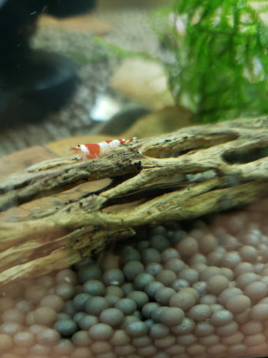 Pet Supply Store «Petco Animal Supplies», reviews and photos, 4751 W 29th St, Greeley, CO 80634, USA