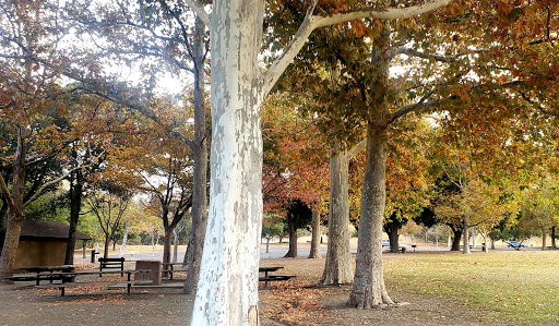 Pet Supply Store «Pet Food Express», reviews and photos, 1436 Old First St, Livermore, CA 94550, USA