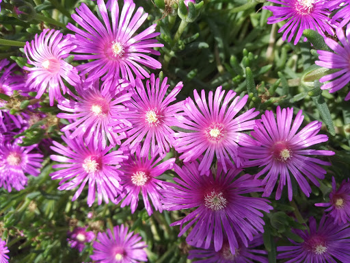 Tobacco Shop «Up N Smoke», reviews and photos, 85 Tunnel Rd, Asheville, NC 28805, USA