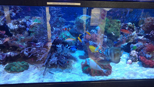 Pet Supply Store «Aquariums and Reptiles», reviews and photos, 11400 S Cleveland Ave, Fort Myers, FL 33907, USA