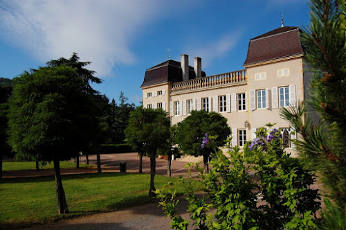 Juliénas Chaintré Vignerons Associés (Cave de Juliénas) à Juliénas