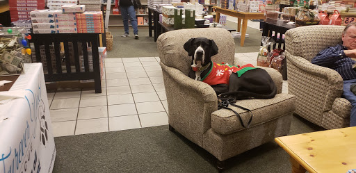 Book Store «Barnes & Noble», reviews and photos, 1271 Knapp Rd, North Wales, PA 19454, USA