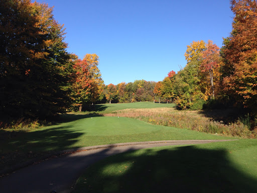 Golf Course «The Orchards Golf Club», reviews and photos, 62900 Campground Rd, Washington, MI 48094, USA