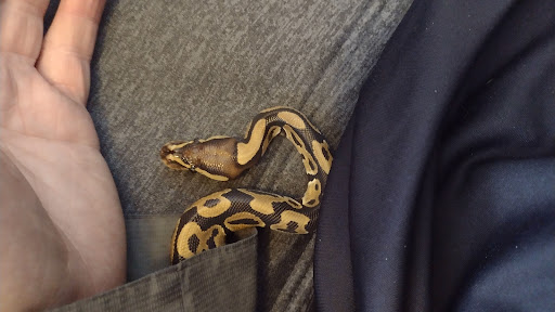 Aquarium «Tropical Treasures», reviews and photos, 3502 W Greenway Rd Suite 7, Phoenix, AZ 85053, USA