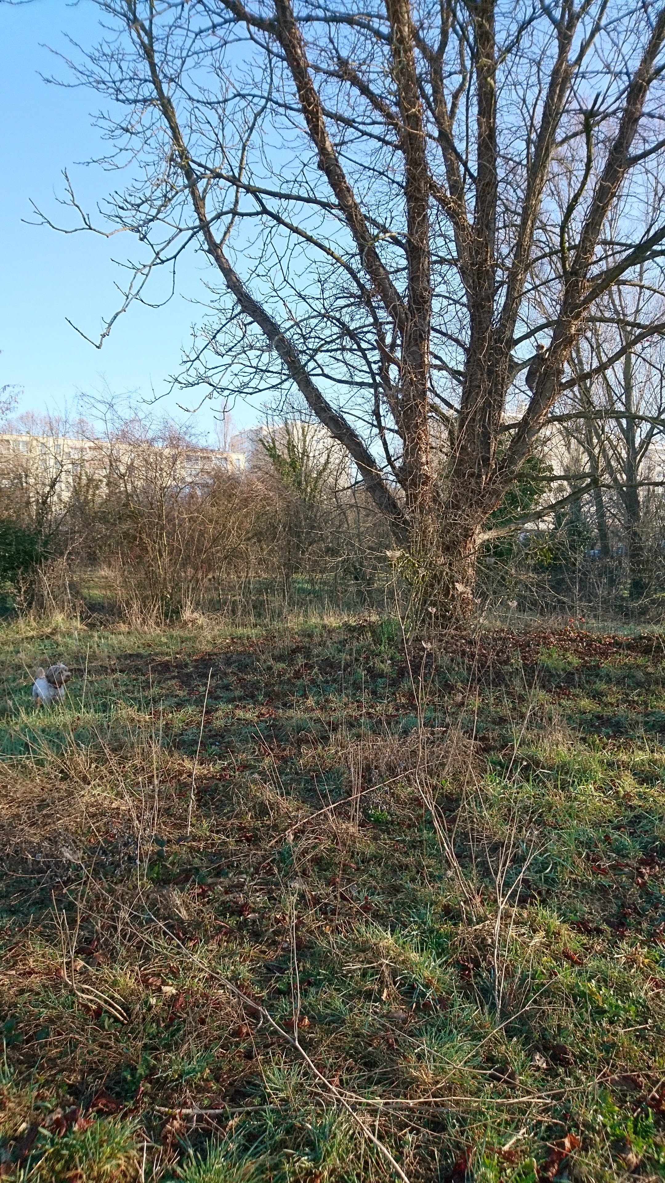 Photo n° 2 de l'avis de Selkie.' fait le 23/02/2019 à 08:38