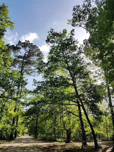 attractions Bois du parc du Château Mérignac