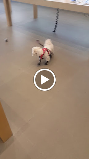 Computer Store «Apple Ridge Hill», reviews and photos, 143 Market Street, Yonkers, NY 10710, USA