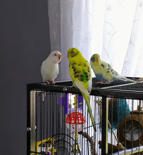 Pet Supply Store «PetSmart», reviews and photos, 2 Brick Plaza, Brick, NJ 08723, USA