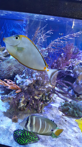 Pet Supply Store «Aquariums and Reptiles», reviews and photos, 11400 S Cleveland Ave, Fort Myers, FL 33907, USA