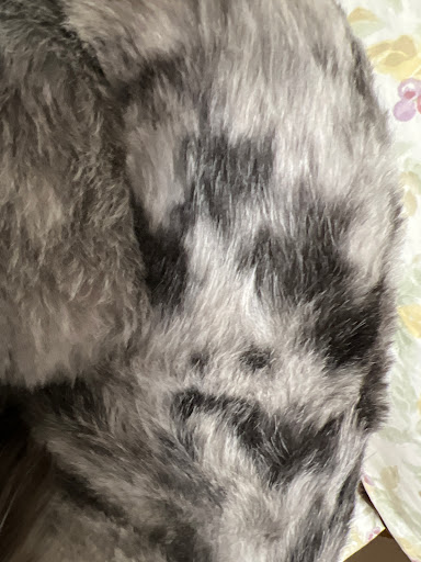 Pet Supply Store «PetSmart», reviews and photos, 1600 Marcus Ave, New Hyde Park, NY 11040, USA