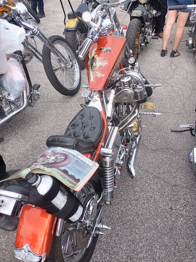 Explore louisiana tattoo ideas, creative tattoo ideas in Ormond Beach, available at Tropical Tattoo Inc