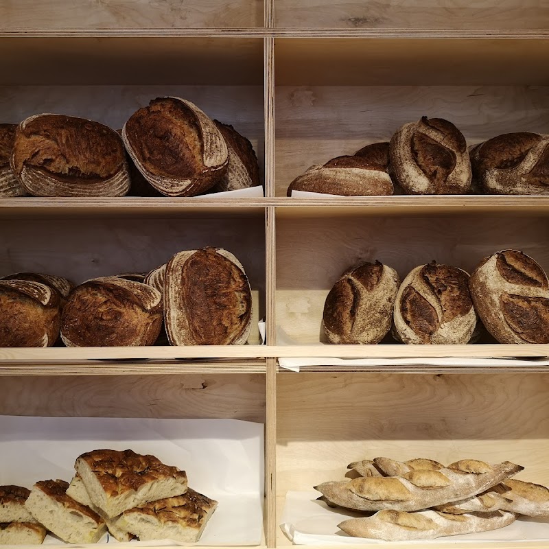 Little Bread Pedlar - Pimlico