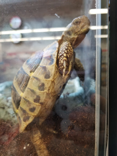 Pet Supply Store «Petco Animal Supplies», reviews and photos, 3320 Stockton Hill Rd, Kingman, AZ 86409, USA