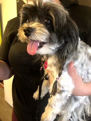 Pet Supply Store «Sonoma Pet and Aquatics», reviews and photos, 201 W Napa St #7, Sonoma, CA 95476, USA