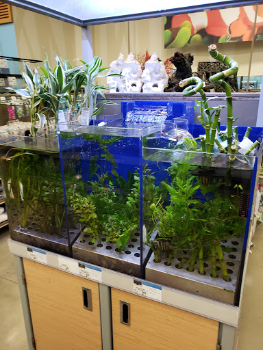 Pet Supply Store «Petco Animal Supplies», reviews and photos, 15475 Annapolis Rd #100, Bowie, MD 20715, USA