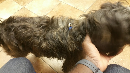 Pet Supply Store «PetSmart», reviews and photos, 4510 S US Hwy 17 92, Casselberry, FL 32707, USA