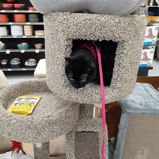 Pet Supply Store «Petco Animal Supplies», reviews and photos, 2805 E 29th Ave, Spokane, WA 99223, USA