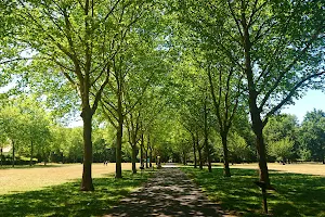 Parc des Coquibus image