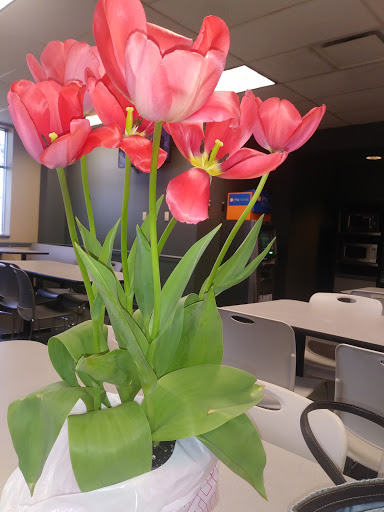 Book Store «Barnes & Noble Distribution», reviews and photos, 1 Barnes and Noble Way, Monroe Township, NJ 08831, USA