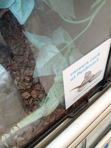 Pet Supply Store «PetSmart», reviews and photos, 5 Mystic View Rd, Everett, MA 02149, USA