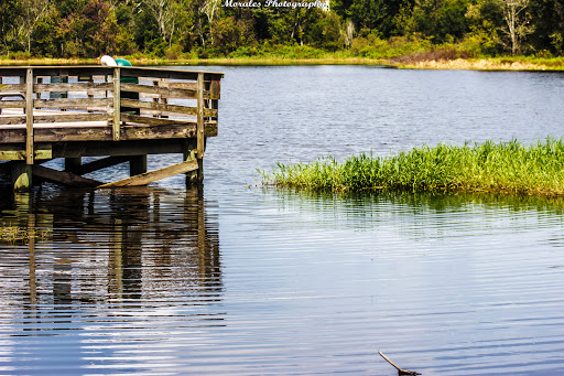 Park «Lake Lotus Park Office», reviews and photos, 1153 Lake Lotus Park Rd, Altamonte Springs, FL 32714, USA