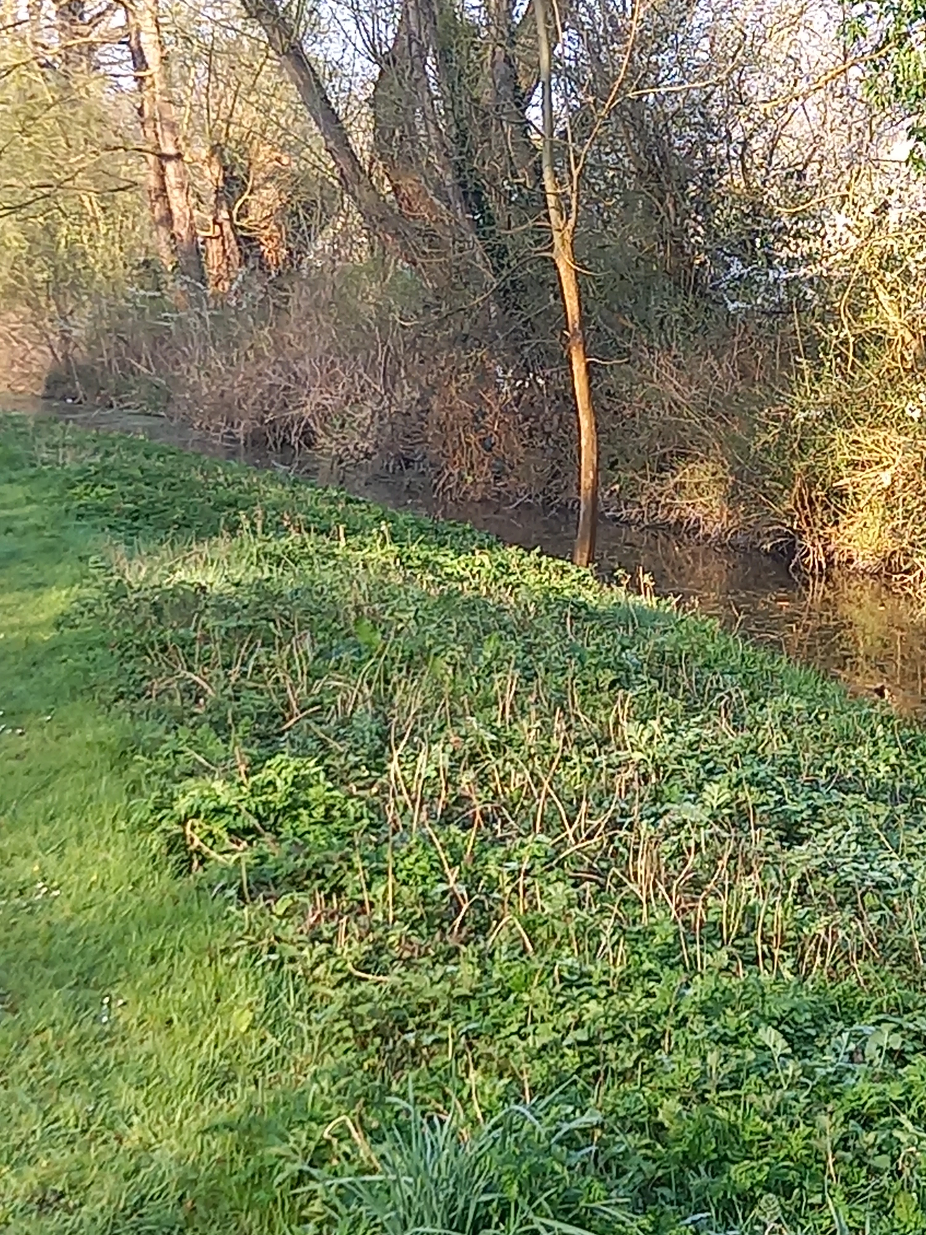 Photo n° 22 de l'avis de Tournois.u fait le 27/03/2022 à 08:41