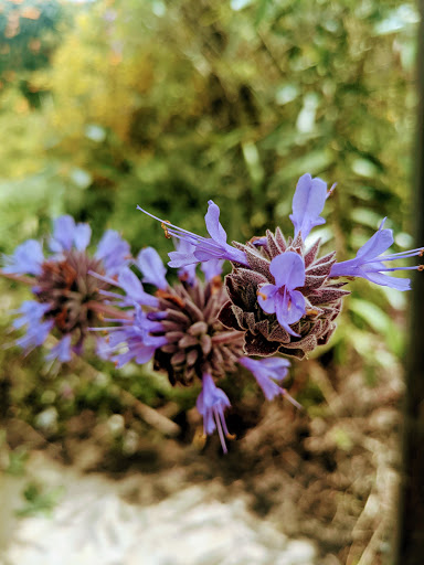 Bowling Alley «Chaparral 300 - We may close 1 hour early Sun-Thurs depending on volume, please call for details.», reviews and photos, 4191 Chino Hills Pkwy, Chino Hills, CA 91709, USA