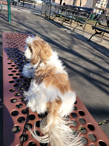 Park «Park Of The Americas», reviews and photos, 42nd Ave & 104th Street, Corona, NY 11368, USA