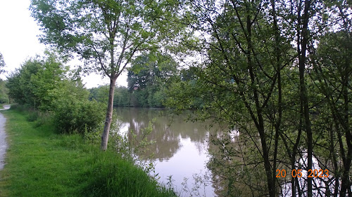 Parc de l'Oisilliere à Château-Gontier-sur-Mayenne