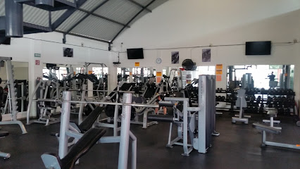 Strong Body Gym - Av. Cuauhtémoc Manzana 026, Santo Tomas, 56560 Ixtapaluca, Méx., Mexico