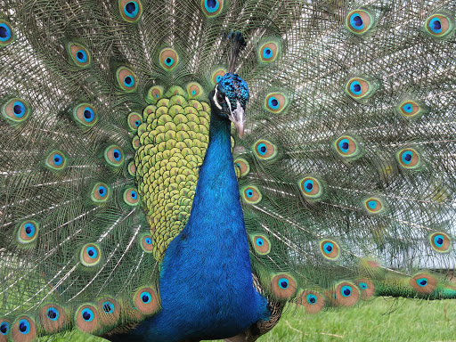 Winery «Sweetgrass Farm Winery and Distillery», reviews and photos, 347 Carroll Rd, Union, ME 04862, USA