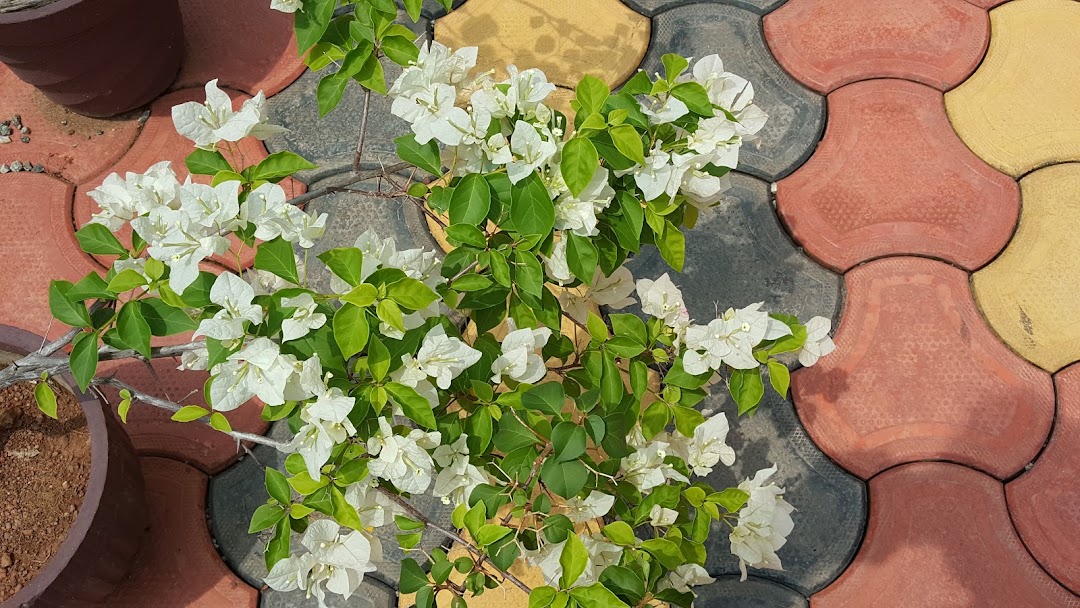 Pulary Nagar