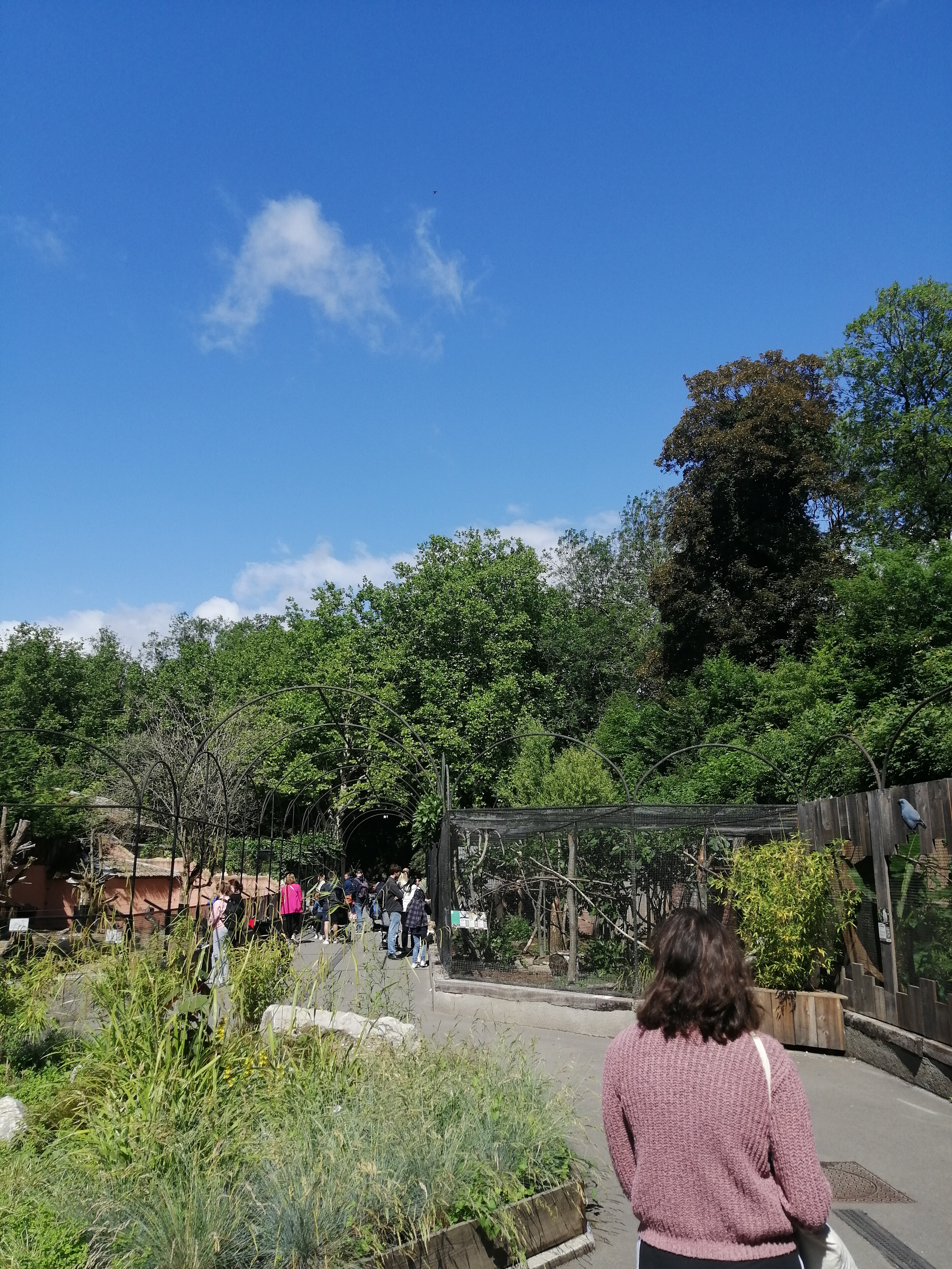 Photo n° 4 de l'avis de Cloé.e fait le 10/06/2022 à 16:07