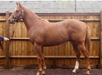 Memorial Park «John Russell Wheeler Park», reviews and photos, US-1, Linden, NJ 07036, USA